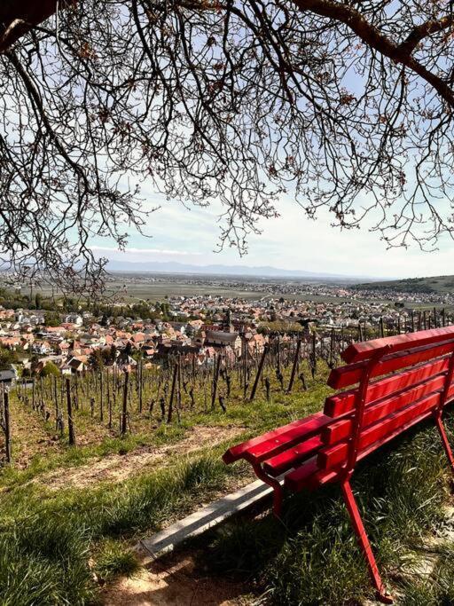 La Douce Escale Διαμέρισμα Turckheim Εξωτερικό φωτογραφία
